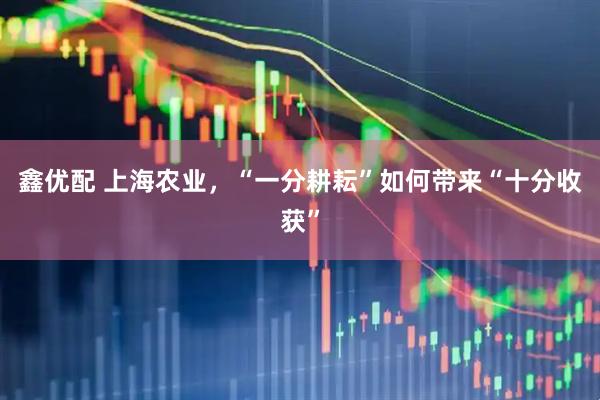 鑫优配 上海农业，“一分耕耘”如何带来“十分收获”