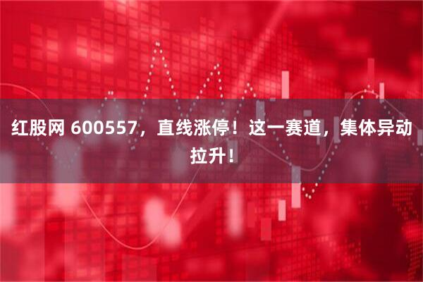 红股网 600557，直线涨停！这一赛道，集体异动拉升！
