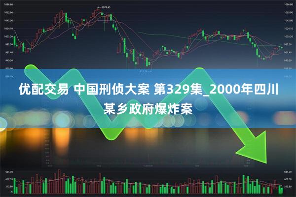 优配交易 中国刑侦大案 第329集_2000年四川某乡政府爆炸案