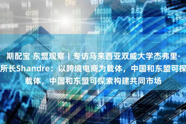 期配宝 东盟观察丨专访马来西亚双威大学杰弗里·谢东南亚研究所所长Shandre：以跨境电商为载体，中国和东盟可探索构建共同市场