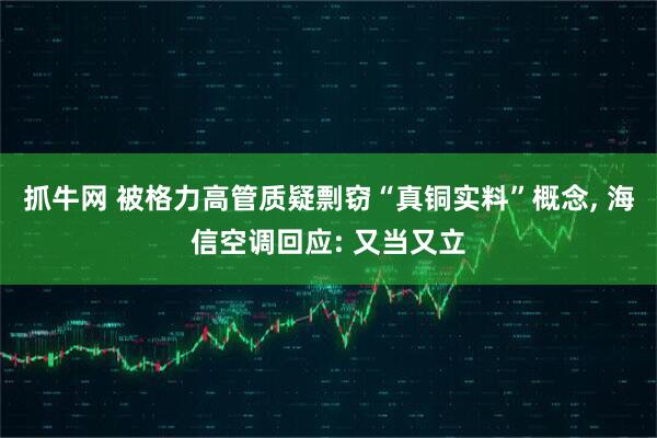 抓牛网 被格力高管质疑剽窃“真铜实料”概念, 海信空调回应: 又当又立